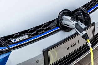 綠樹荷風(fēng)夏日長 環(huán)保愛豆e golf邀你一起 走花路